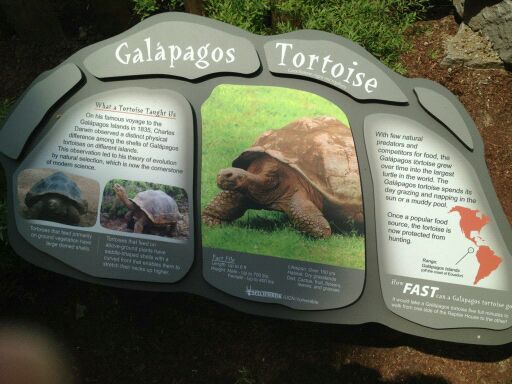 May 2012-Tortoise sign at Galapagos Encounter