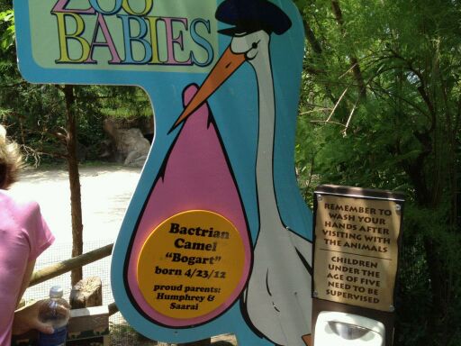 May 2012-Zoo Babies sign in Wildlife Canyon