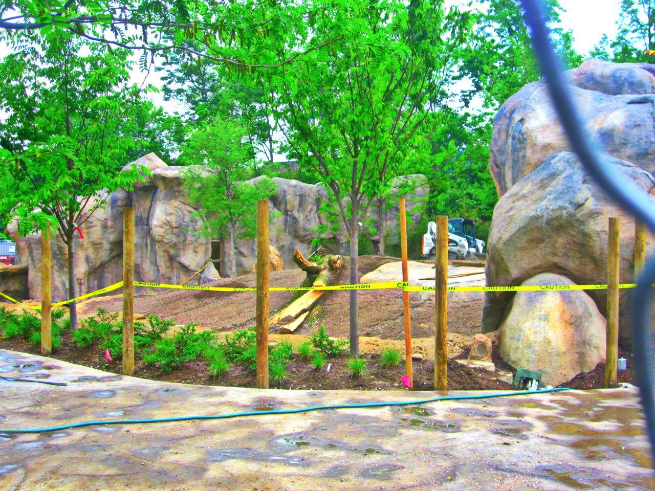 May 2013 - Africa - Future African Lion Exhibit
