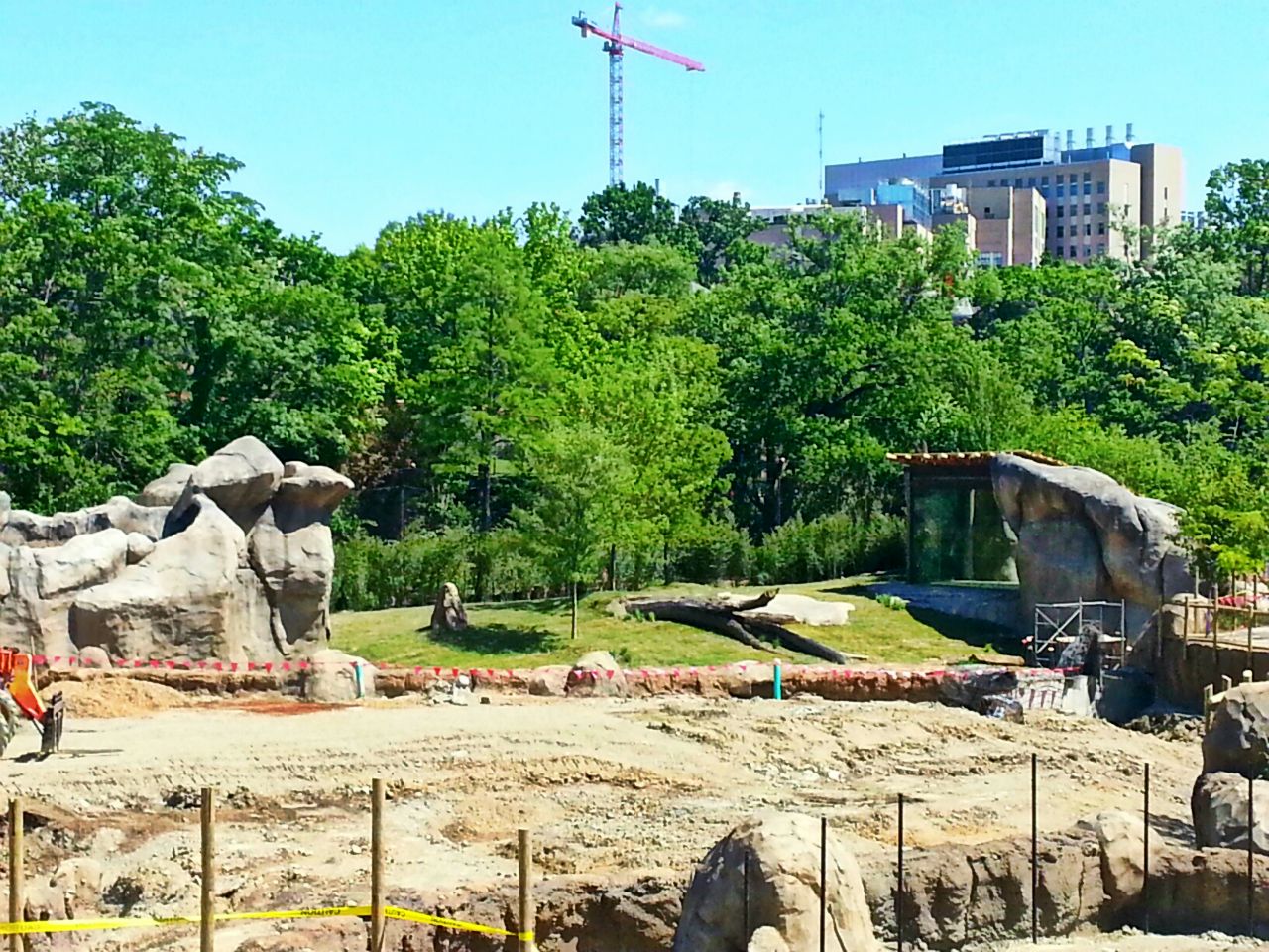 May. 2013 - Africa - Future African Lion Exhibit