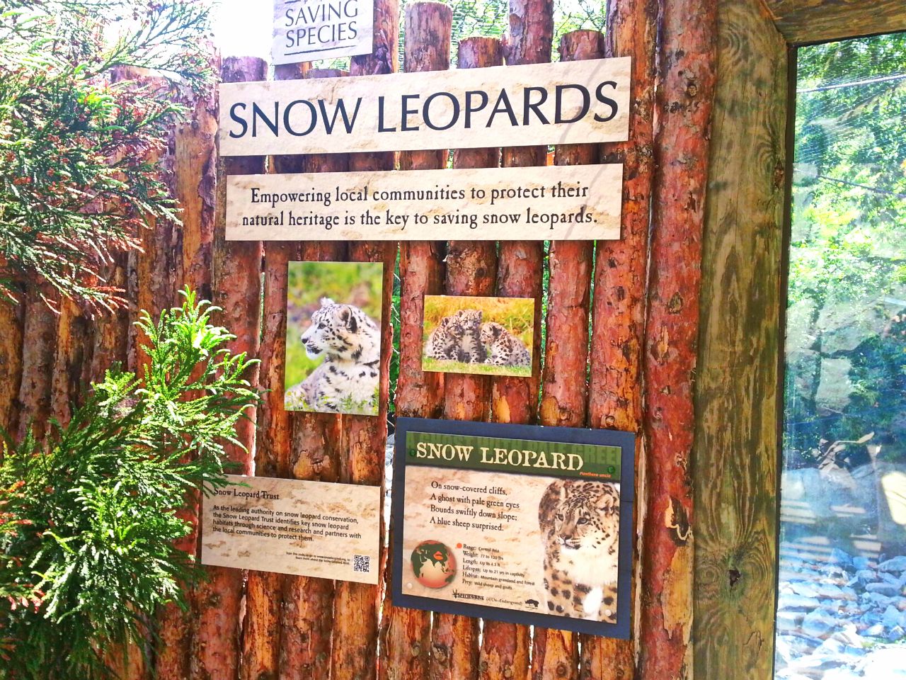May. 2013 - Cat Canyon - Snow Leopard Signs