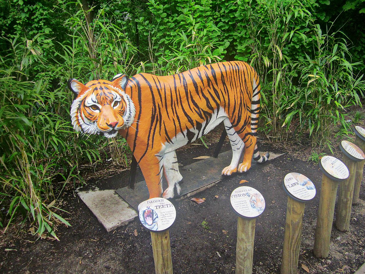 May 2013 - Cat Canyon - Tiger Sculpture
