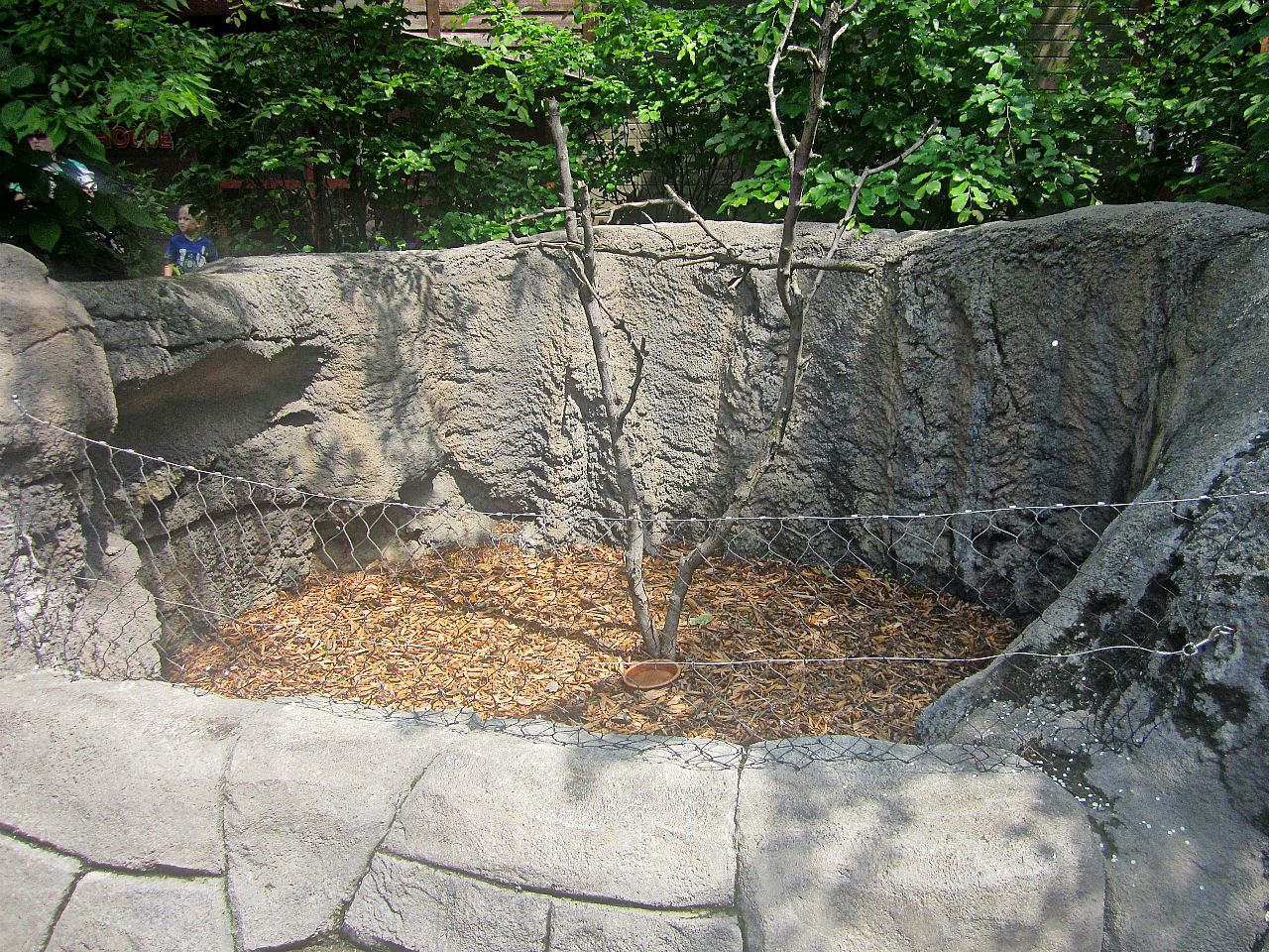 May 2013 - Childrens Zoo - Southern Three-banded Armadillo Exhibit