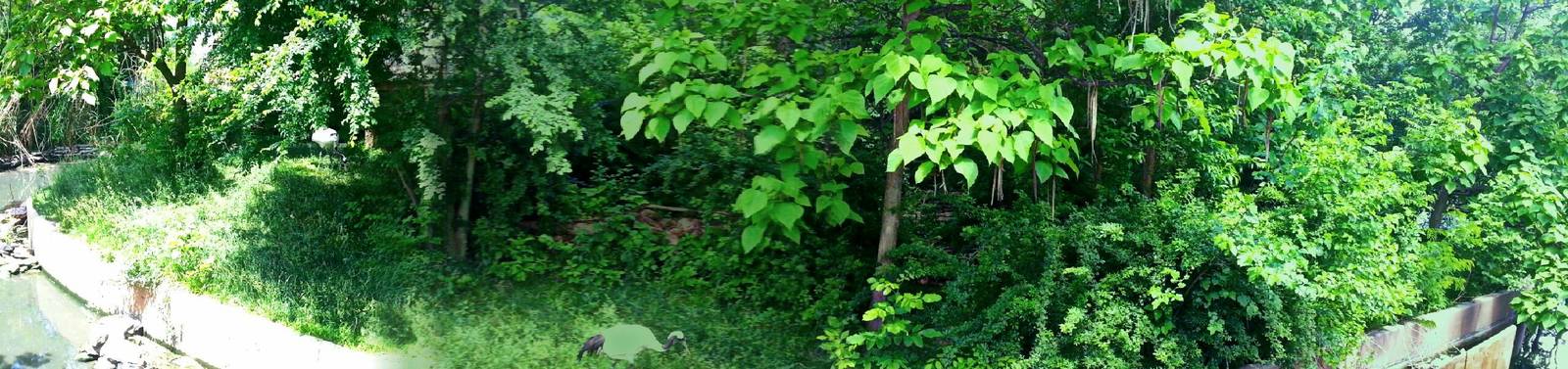 May 2013 - Crane Island Panorama