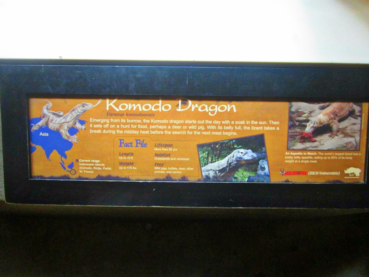 May 2013 - Dragons! - Komodo Dragon Sign
