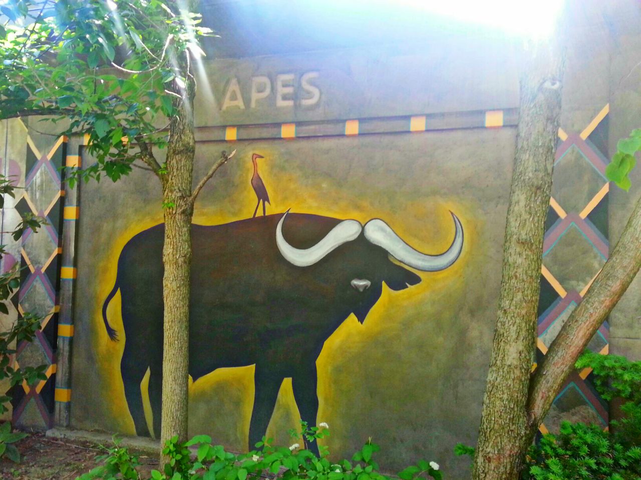 May 2013 - Former Ape House
