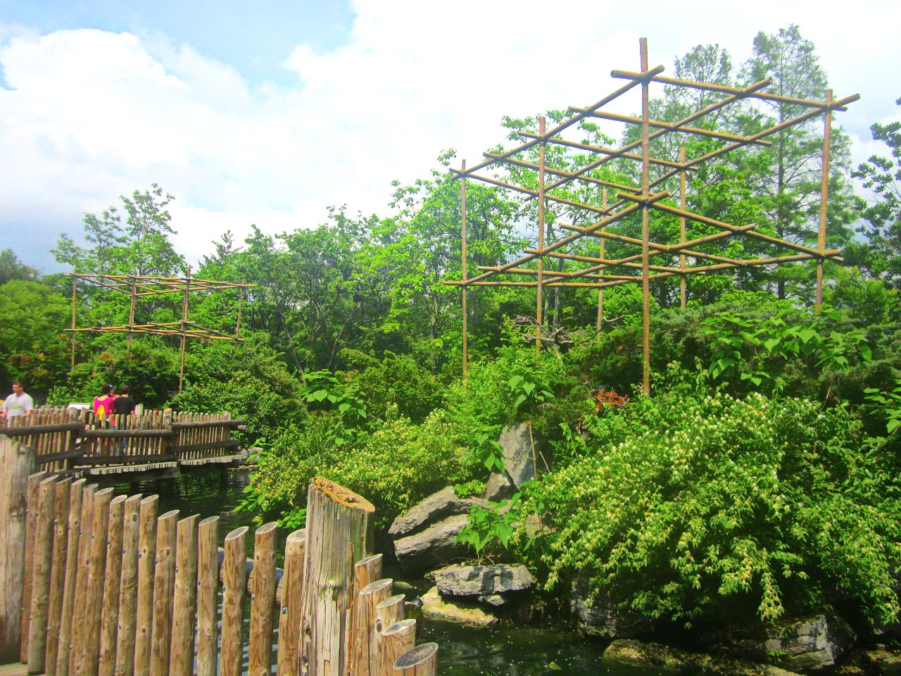 May 2013 - Gibbon Islands