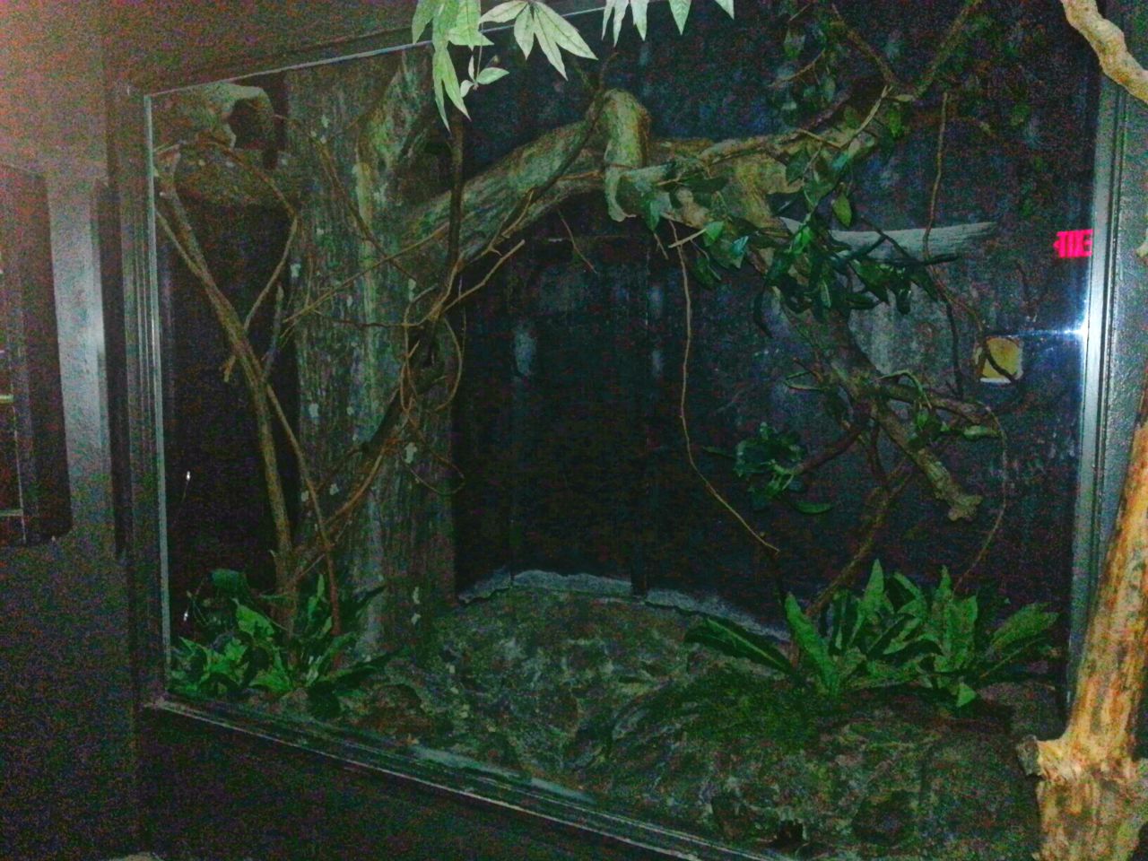 May. 2013 - Jungle Trails - Garnetts Galago Exhibit