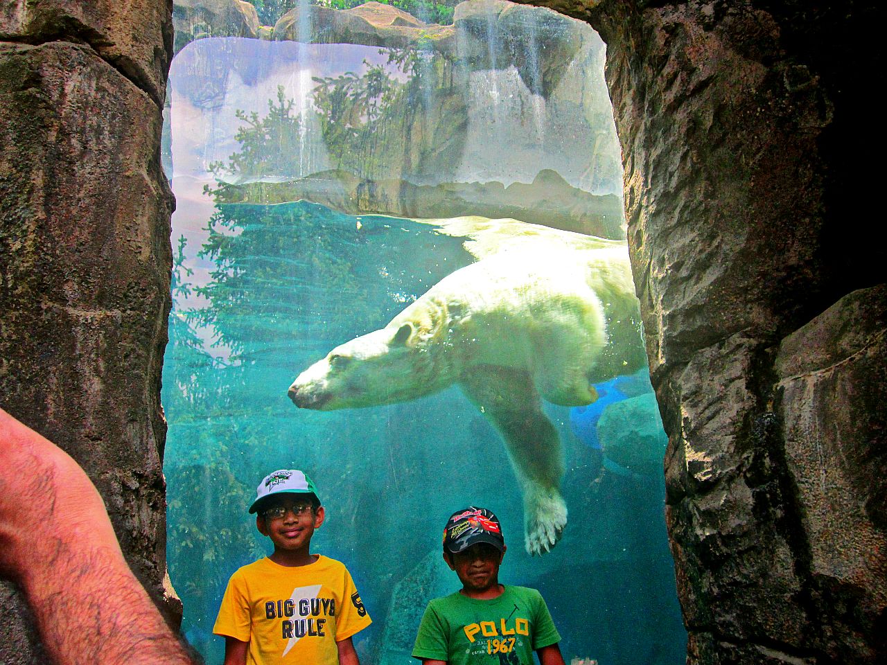 May 2013 - Lords of the Arctic - Polar Bear