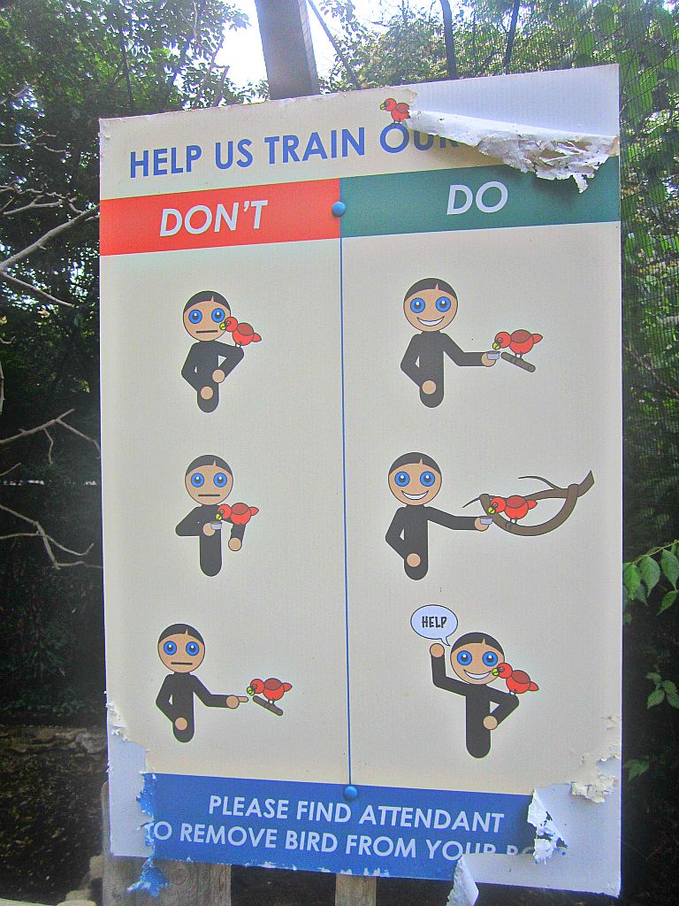 May 2013 - Lorikeet Landing - Do's and Don'ts of Feeding