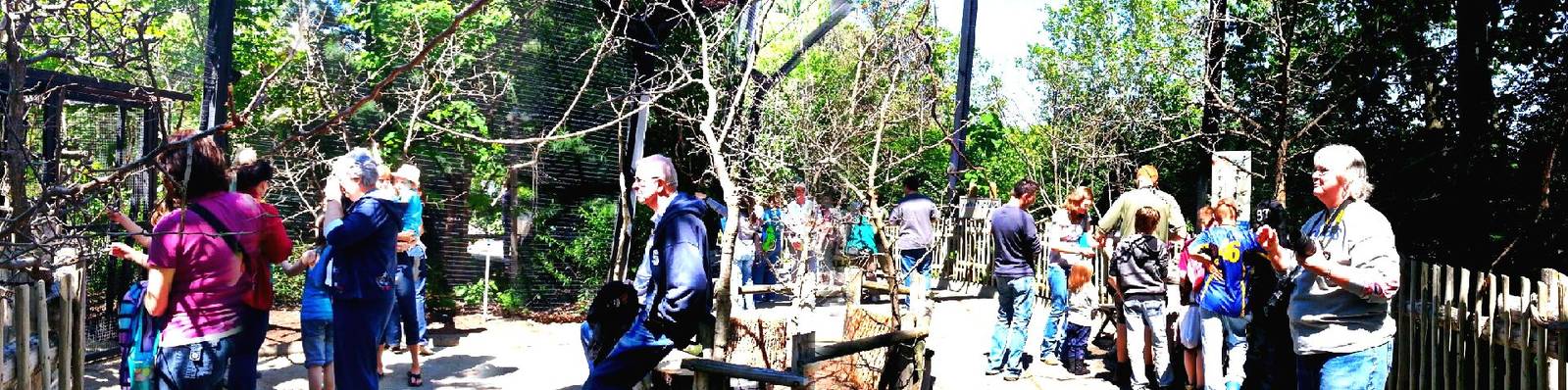 May. 2013 - Lorikeet Landing Panorama