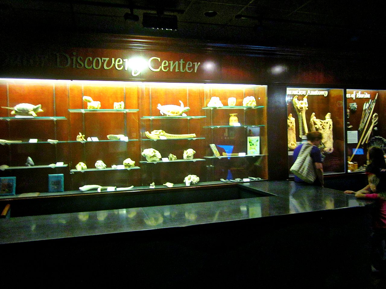 May 2013 - Manatee Springs - Discovery Center