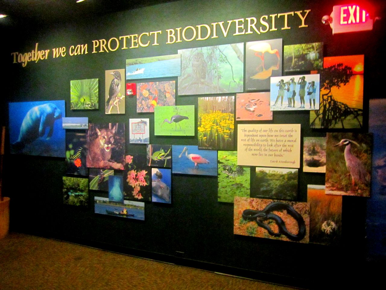 May 2013 - Manatee Springs