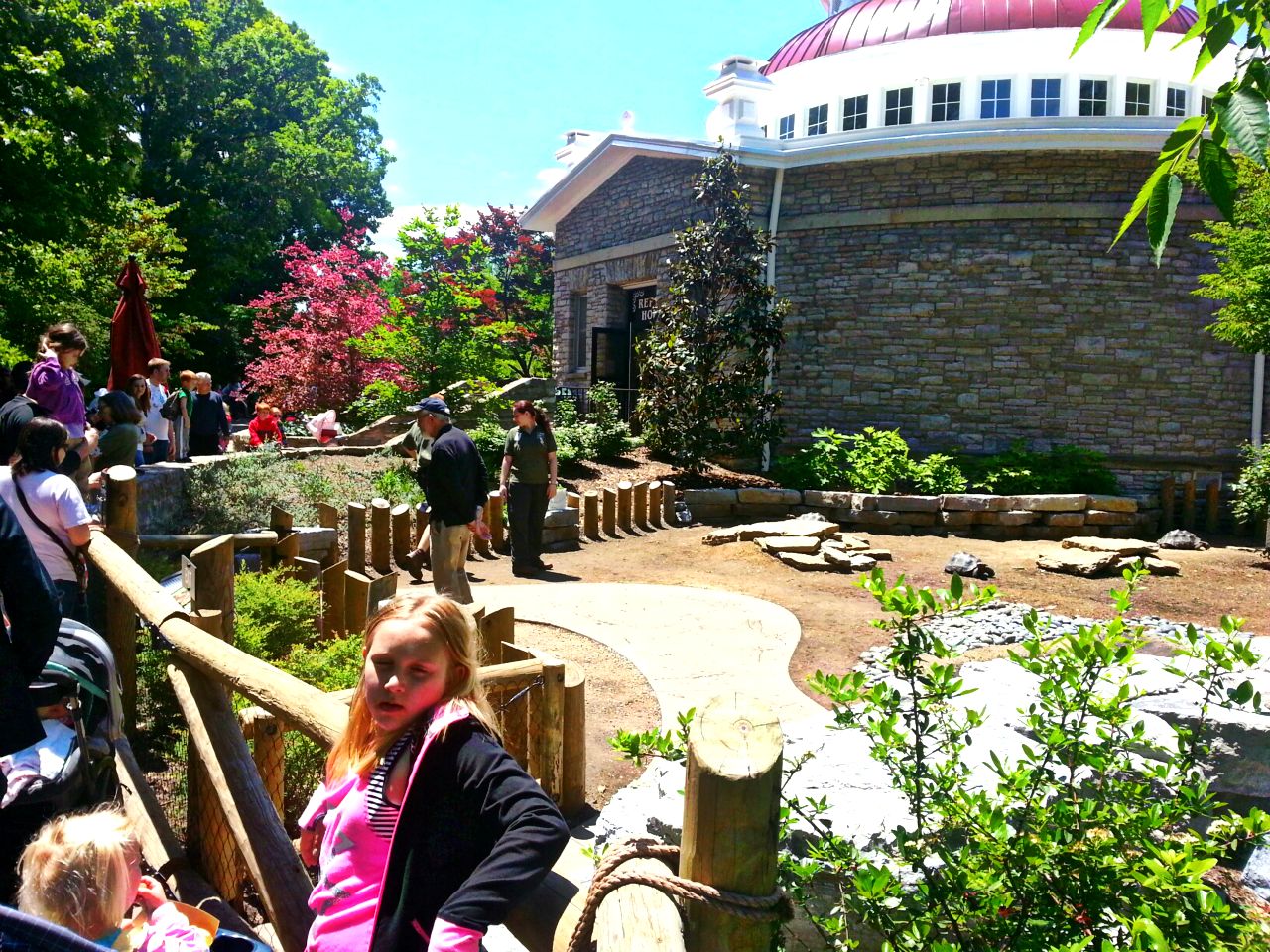 May 2013 - Reptile House - Galapagos Tortoise Encounter