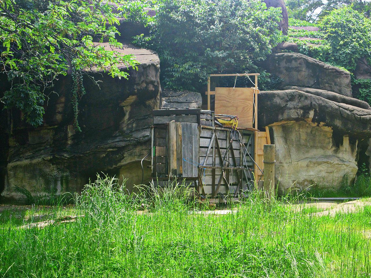 May 2013 - Rhino Reserve - Black Rhinoceros Crate Training