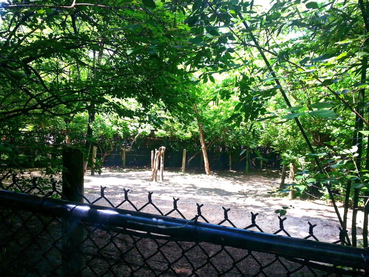 May 2013 - Wildlife Canyon - Sucis Private Yard