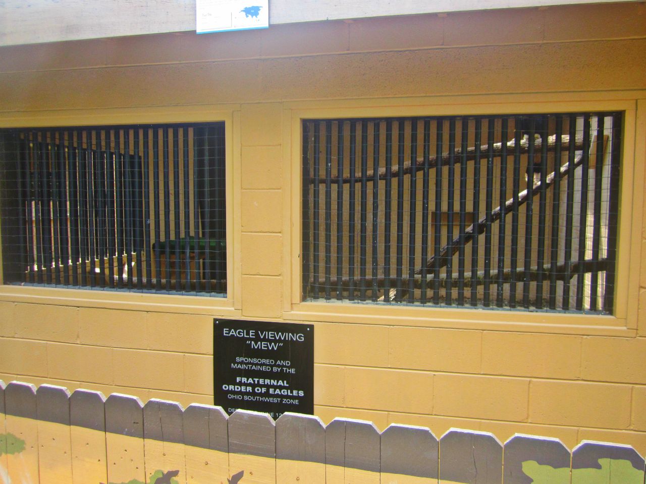 May 2013 - Wings of Wonder - Rhinoceros Hornbill Show Holding