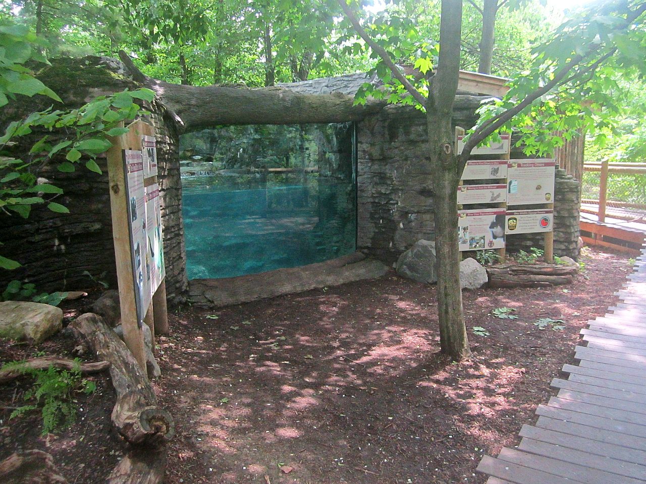 May 2013 - Wolf Woods - North American River Otter Underwater Viewing