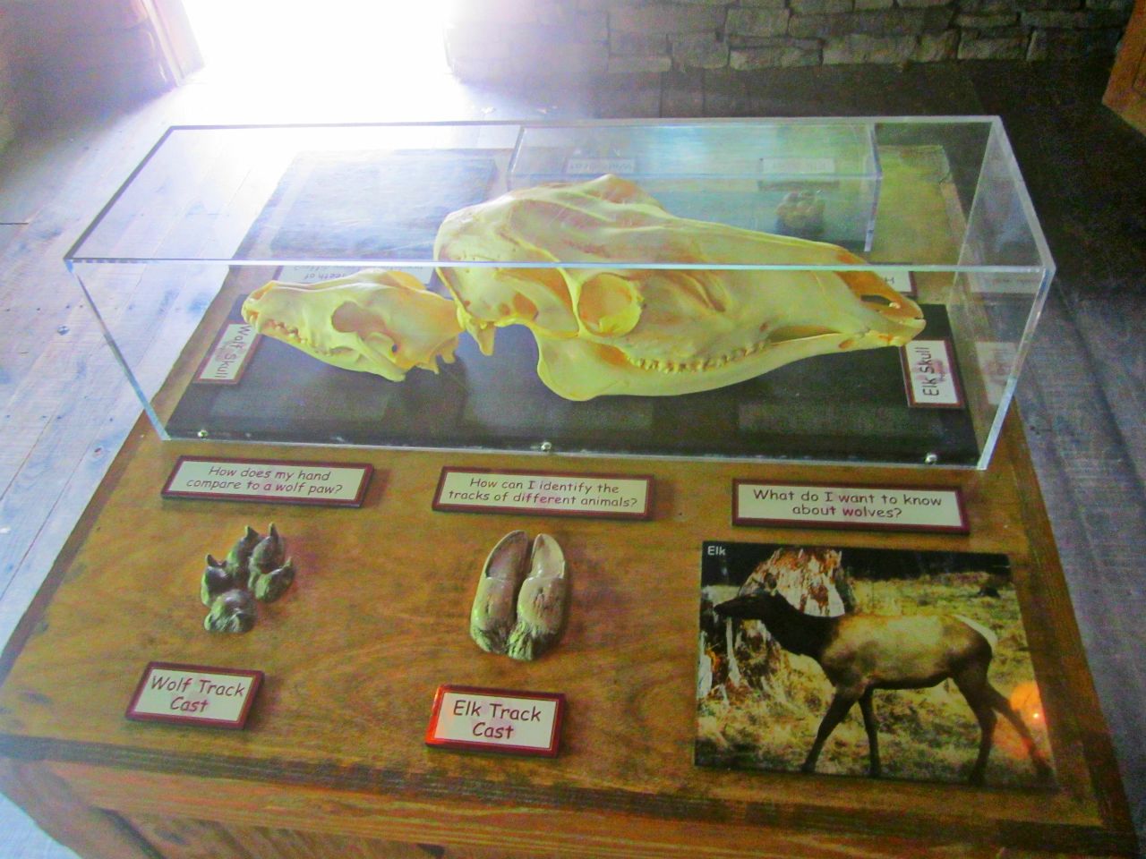 May 2013 - Wolf Woods - Wolf to Elk Analysis