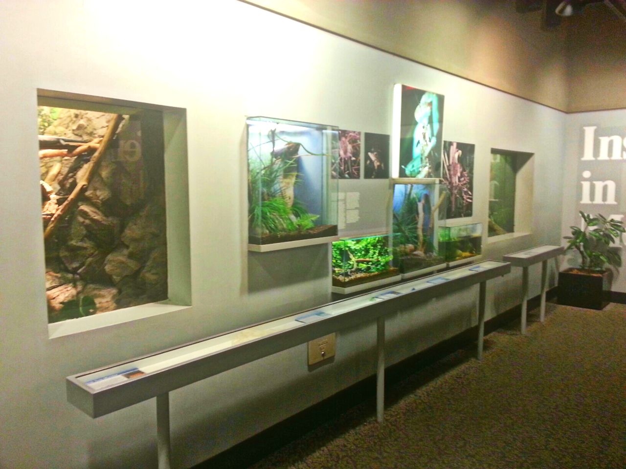 May 2013 - World of the Insect - What Eats Insects