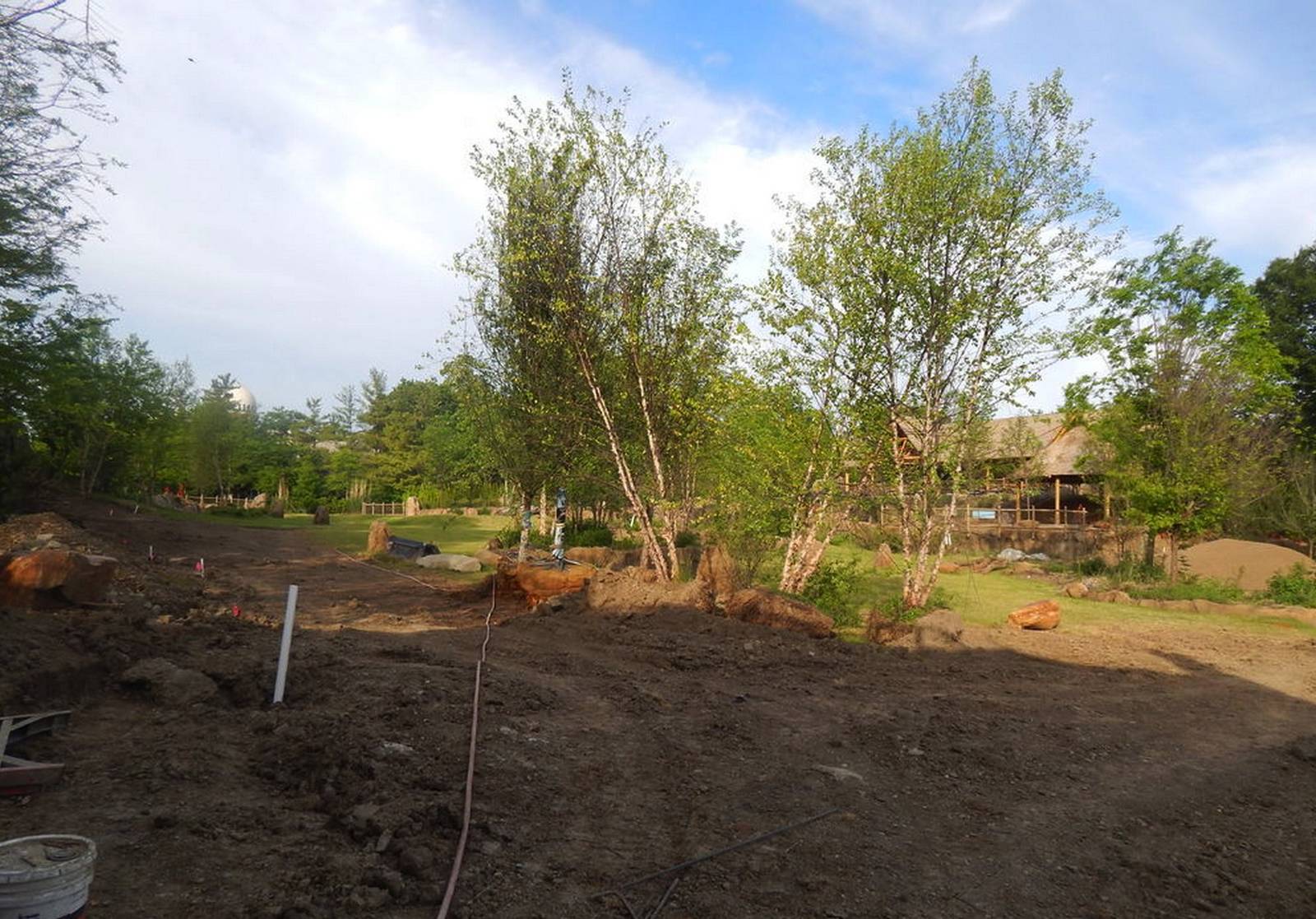 May. 2014 - Africa - African Plains Exhibit (Pre-opening)