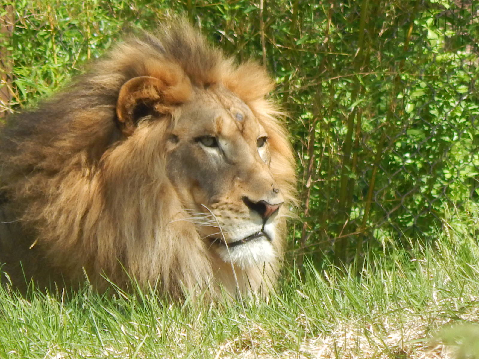 May. 2014 - Africa - John