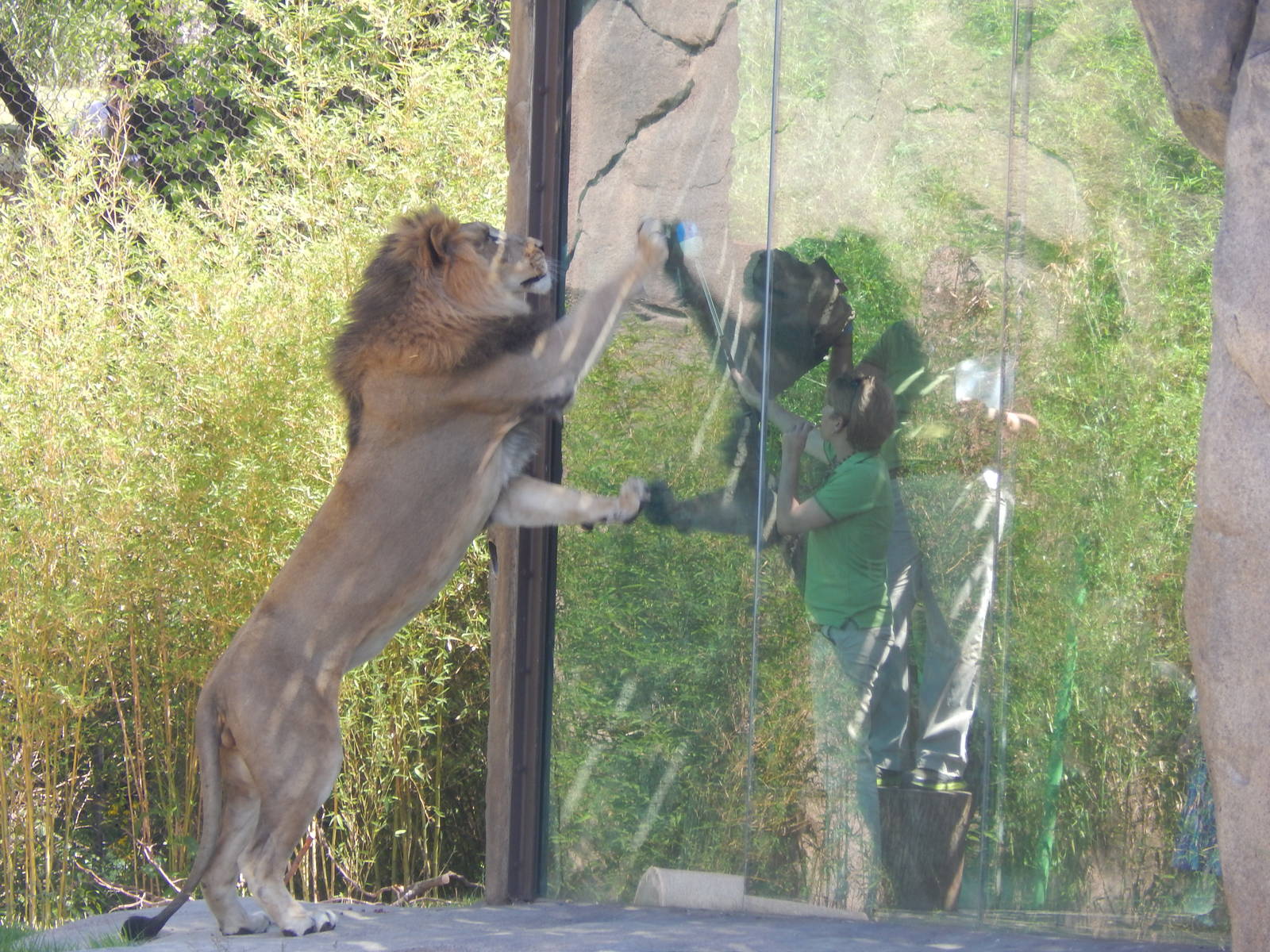 May. 2014 - Africa - John's Training