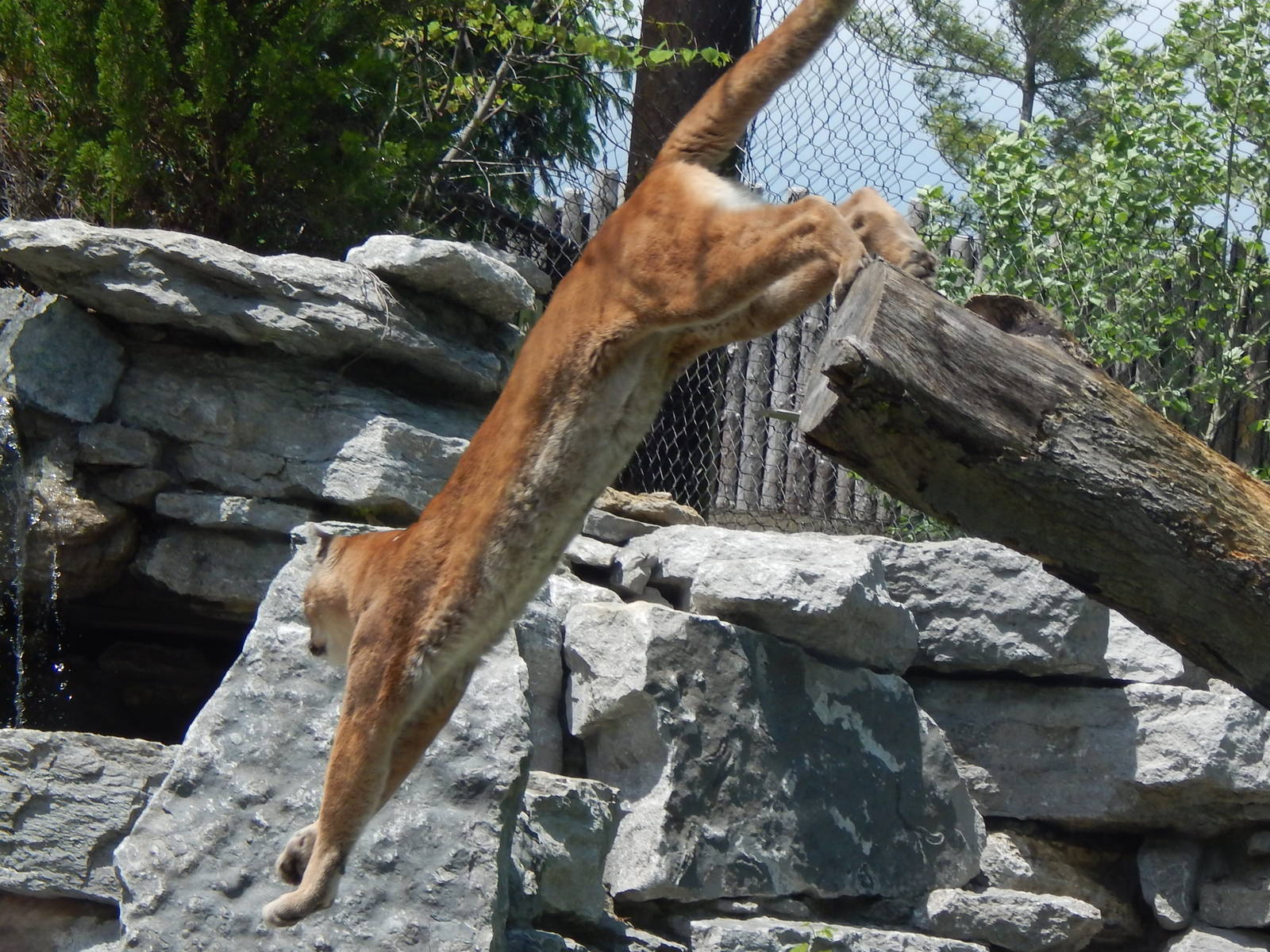 May. 2014 - Cat Canyon - Leaping Joseph