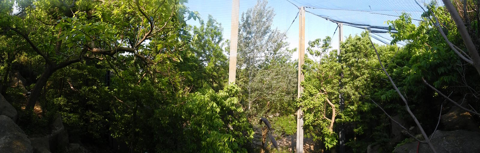 May. 2014 - Eagle Eyrie - Steller's Sea Eagle Flight Cage Panorama