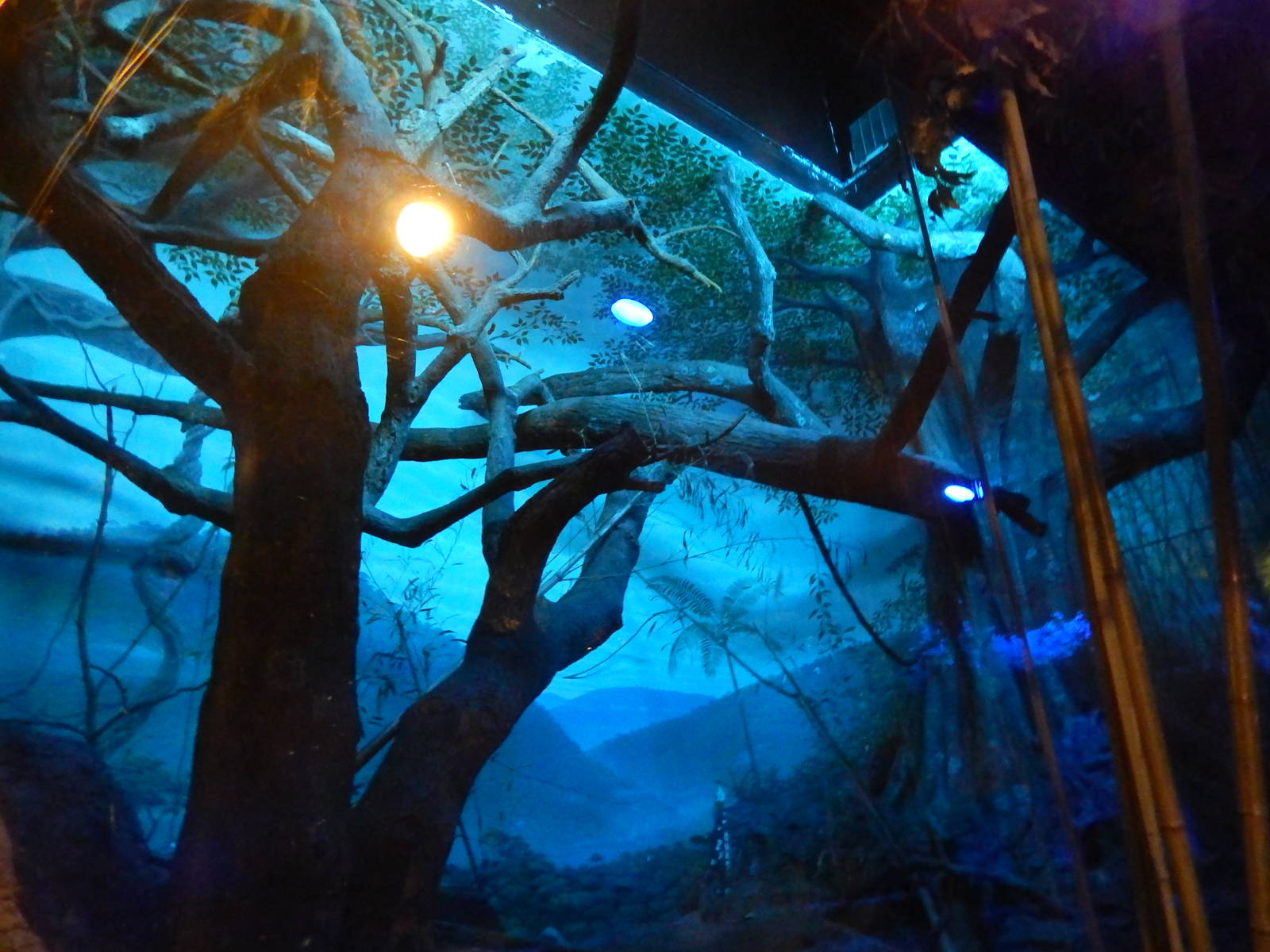 May. 2014 - Jungle Trails - Aye-Aye Exhibit