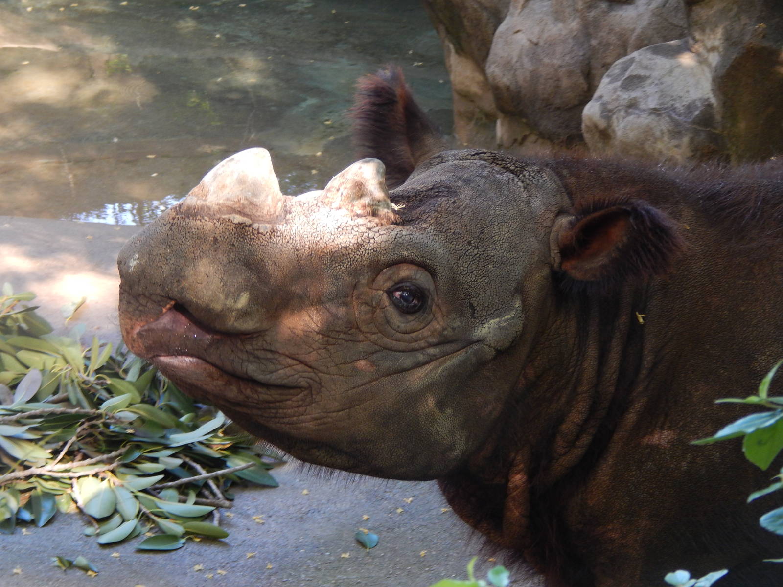 May. 2014 - Wildlife Canyon - Harapan