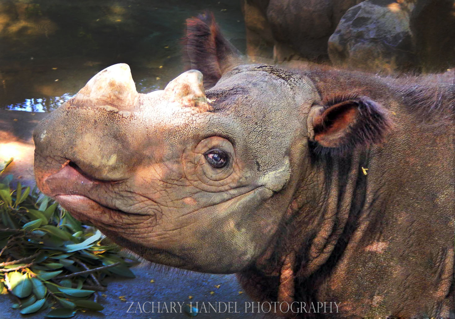 May. 2014 - Wildlife Canyon - Harapan