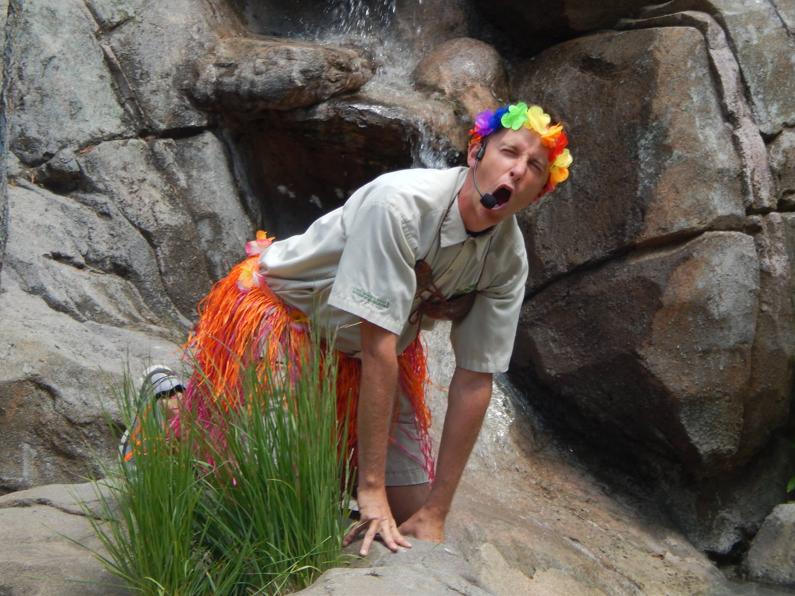 May. 2014 - Wings of Wonder Bird Show - 'I've Got the Eye of the Tiger!'