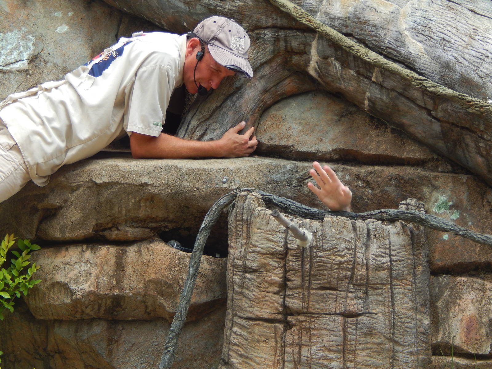 May. 2014 - Wings of Wonder Bird Show