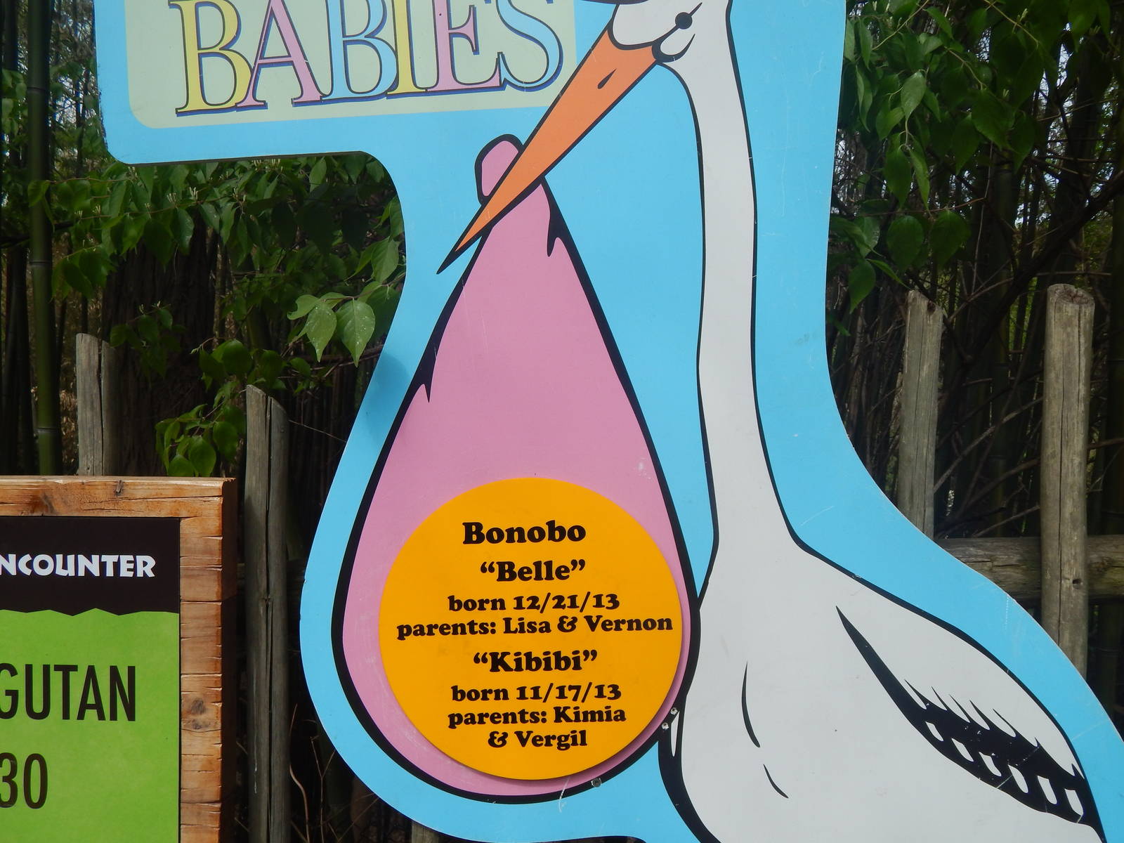 May. 2014 - Zoo Babies Sign for Jungle Trails