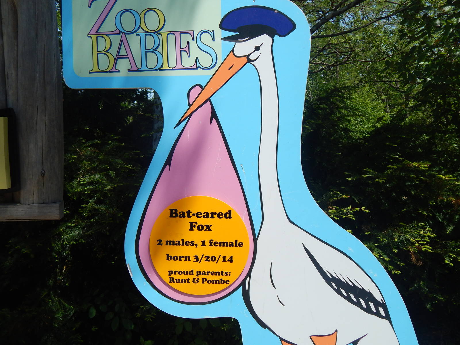 May. 2014 - Zoo Babies Sign for Night Hunters