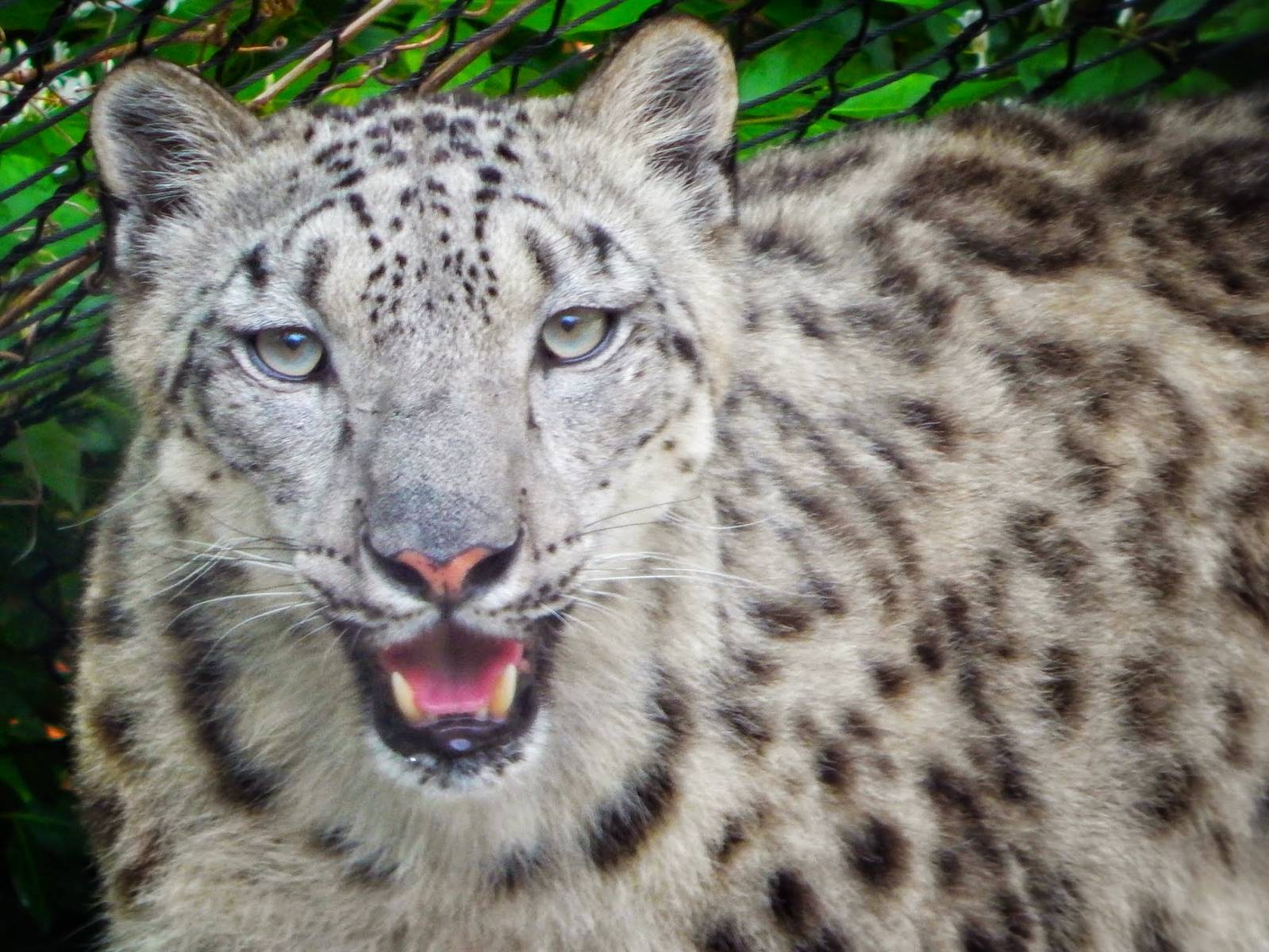 May. 2015 - Cat Canyon - Renji