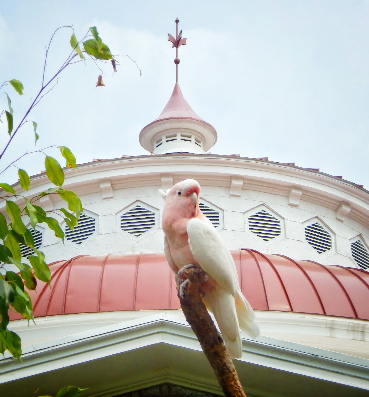 May. 2015 - Henry + the Reptile House