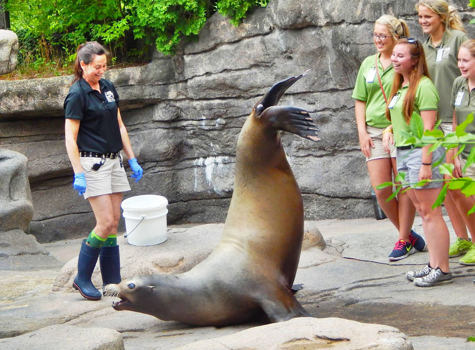 May. 2015 - Sea Lion Falls - Duke Training Session