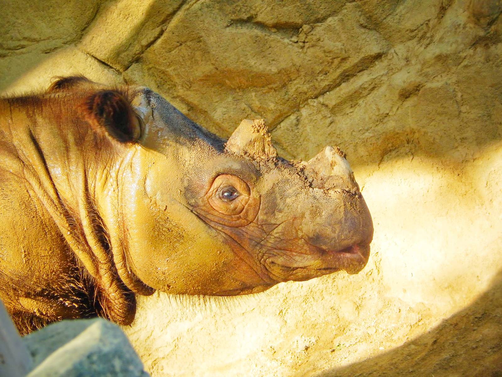 May. 2015 - Wildlife Canyon - Harapan