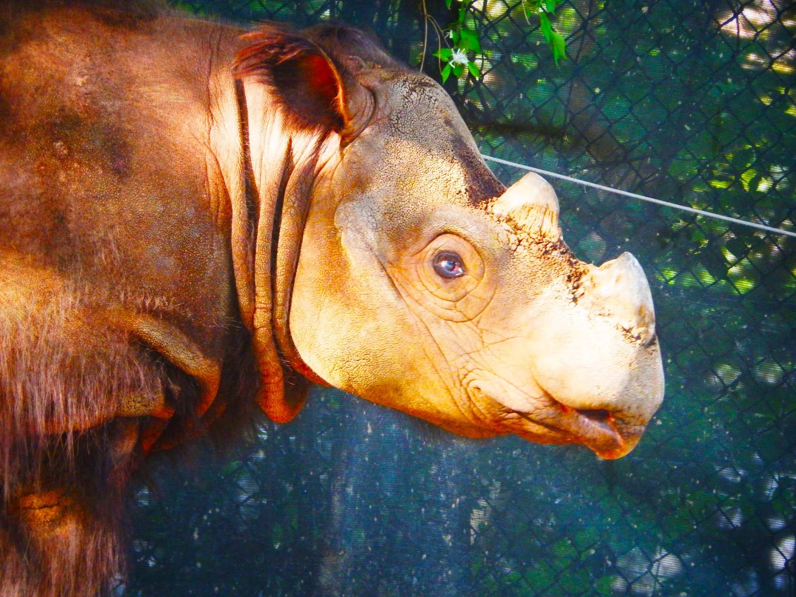 May. 2015 - Wildlife Canyon - Harapan