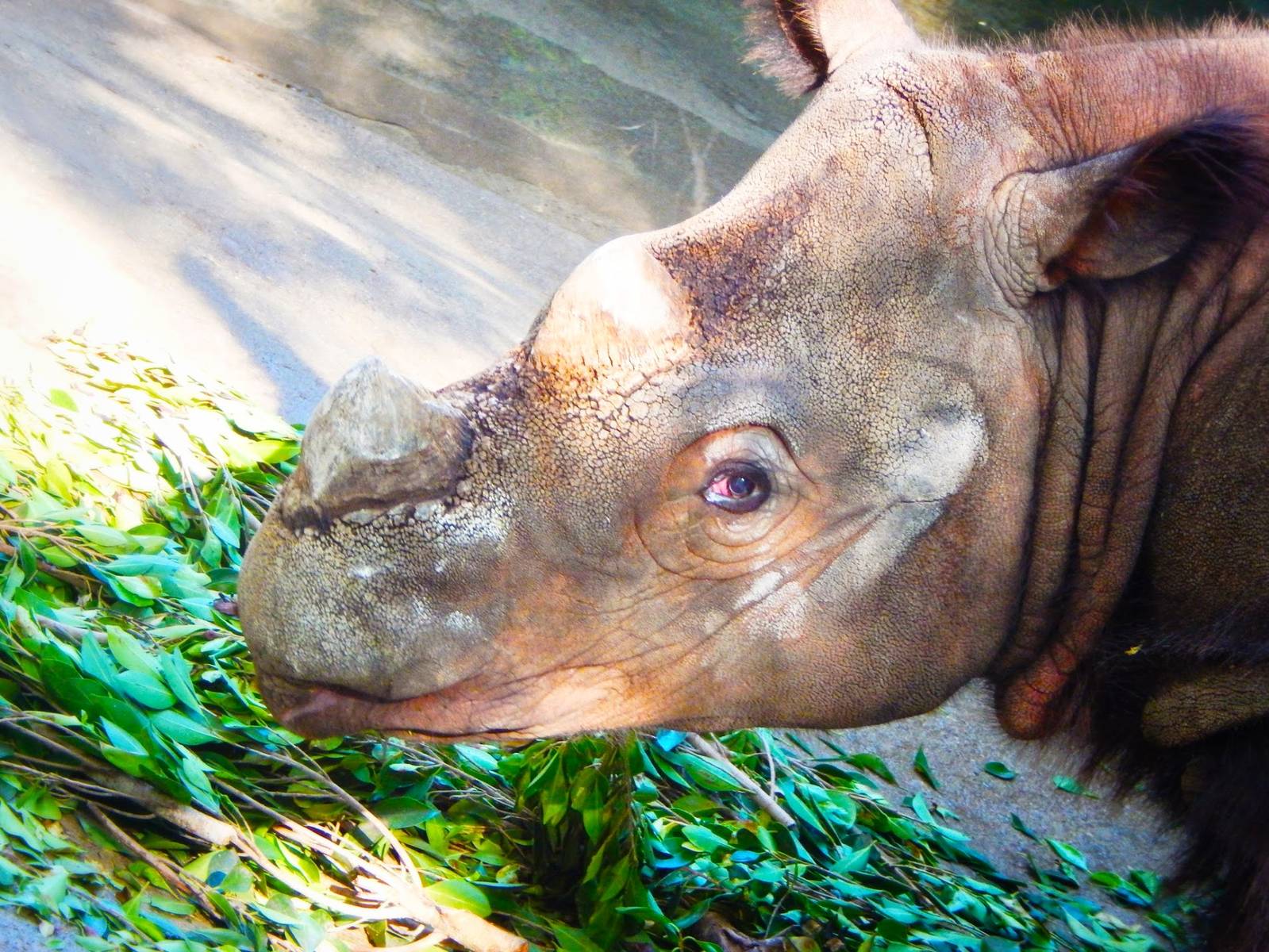 May. 2015 - Wildlife Canyon - Harapan