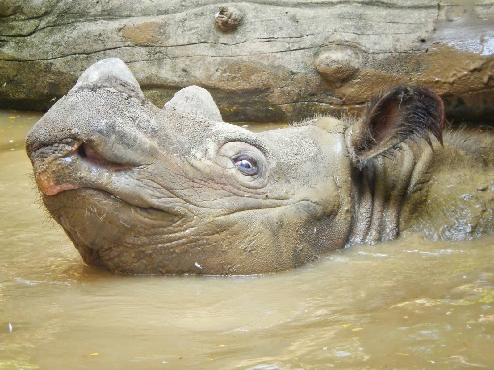 May. 2015 - Wildlife Canyon - Harapan