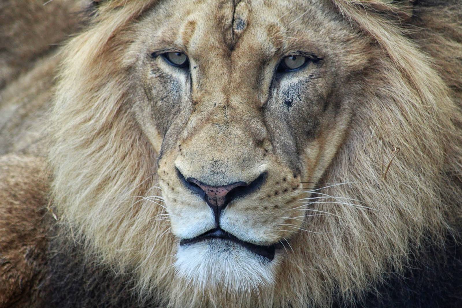 May. 2016 - Africa - John