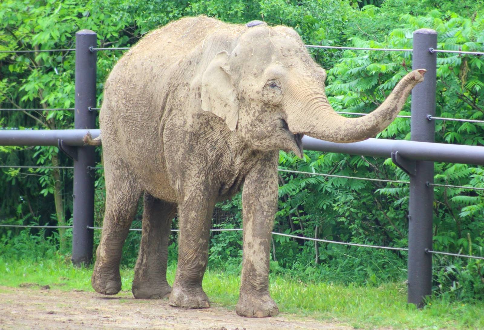 May. 2016 - Asia Quest - Phoebe