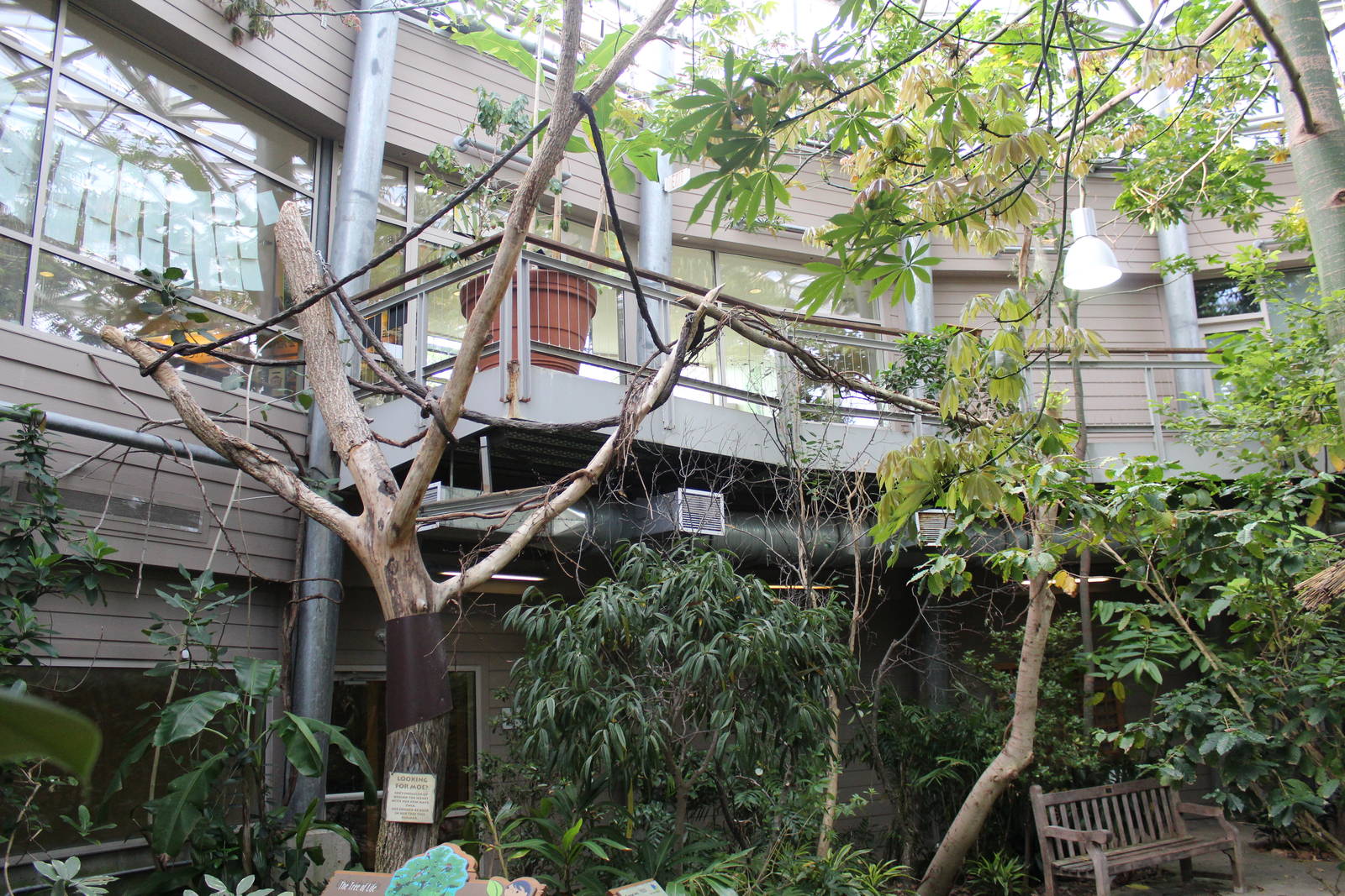 May. 2016 - Discovery Forest - Two-toed Sloth Exhibit (Plus Expansion)