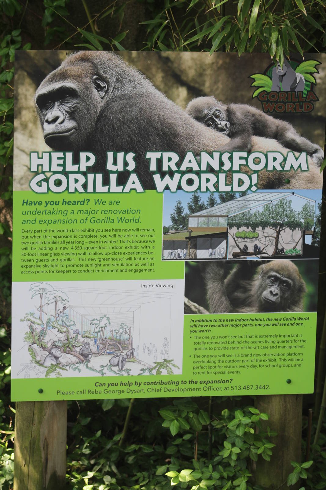 May. 2016 - Gorilla World - Sign for Future Revamp