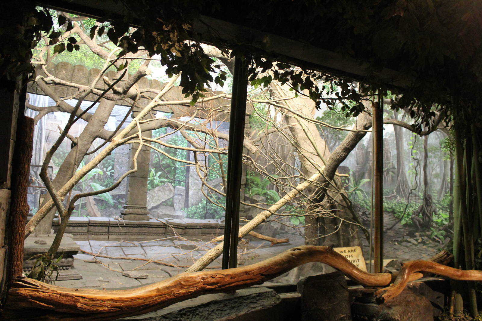 May. 2016 - Jungle Trails - Future Tamarin Exhibit