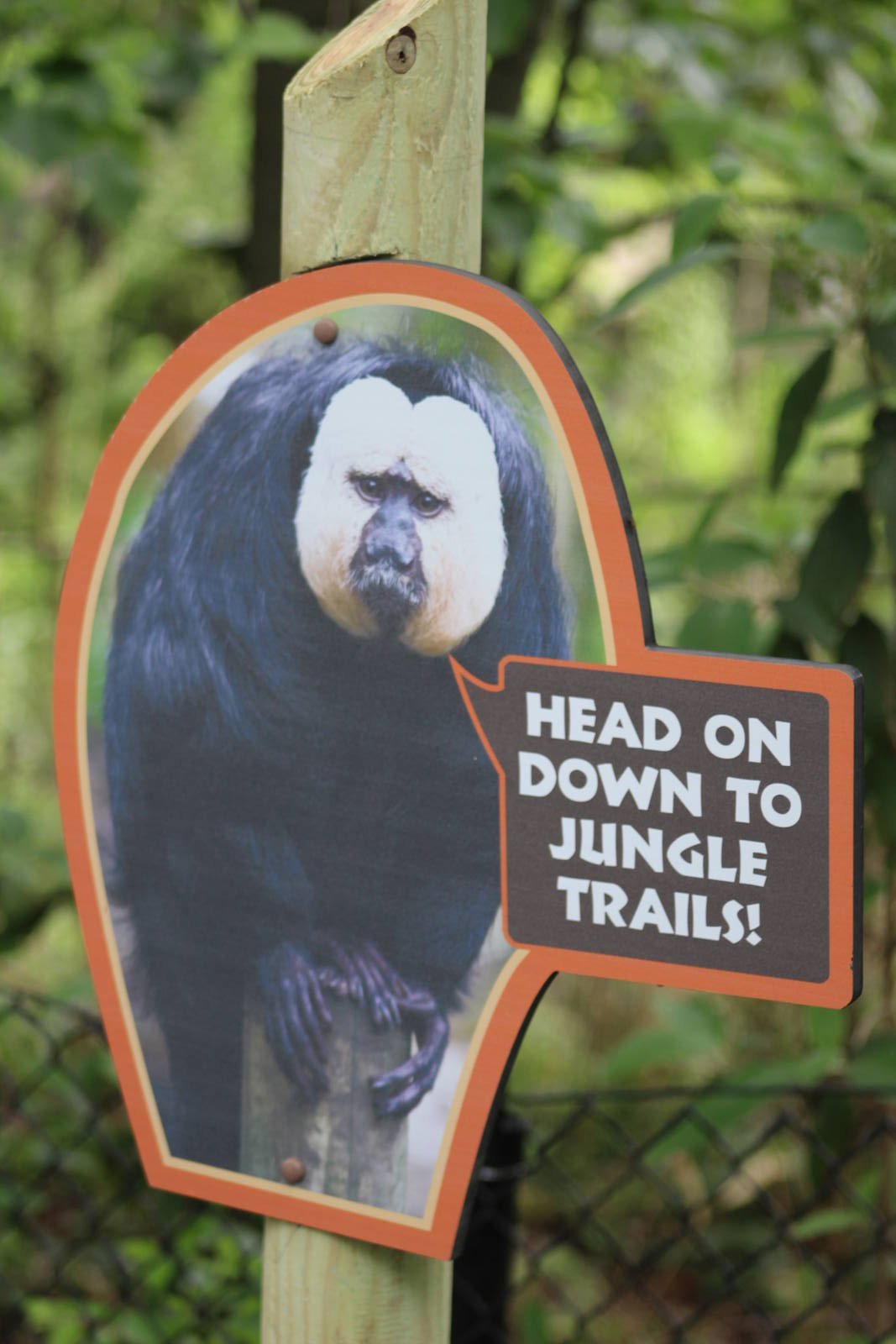 May. 2016 - New Jungle Trails Signage (New Species as Well)