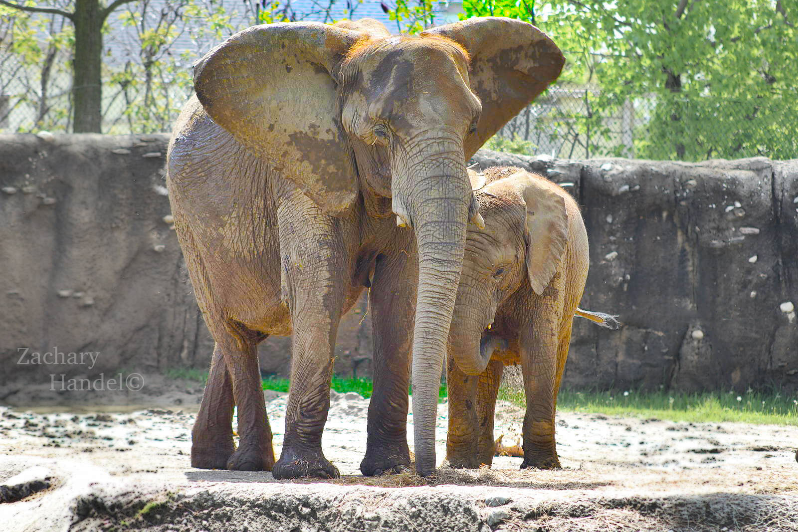 May. 2016 - Plains - Ivory and Nyah